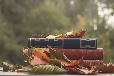 Eski kitaplar ve düşen sonbahar yaprakları.