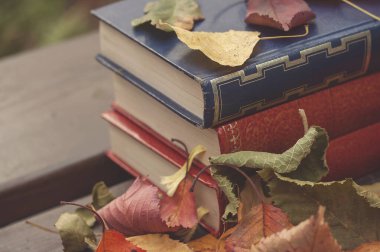 Eski kitaplar ve düşen sonbahar yaprakları.