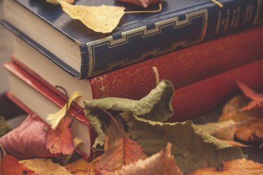 Tahta bir bahçe masasında düşen sonbahar yaprakları ve kitaplar. 