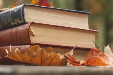 Eski kitaplar ve düşen sonbahar yaprakları. 