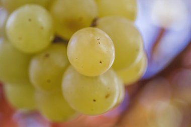 Taze yeşil üzümler kapanıyor.