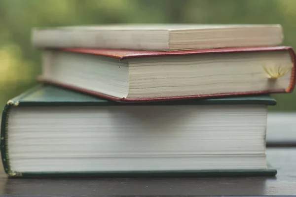 Pilha Livros Uma Mesa Madeira Jardim — Fotografia de Stock