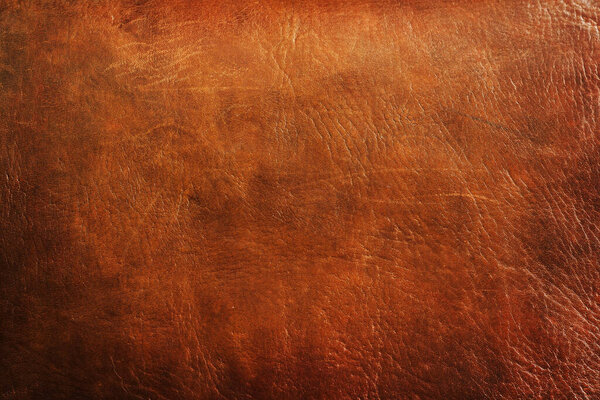 old leather background  close-up texture