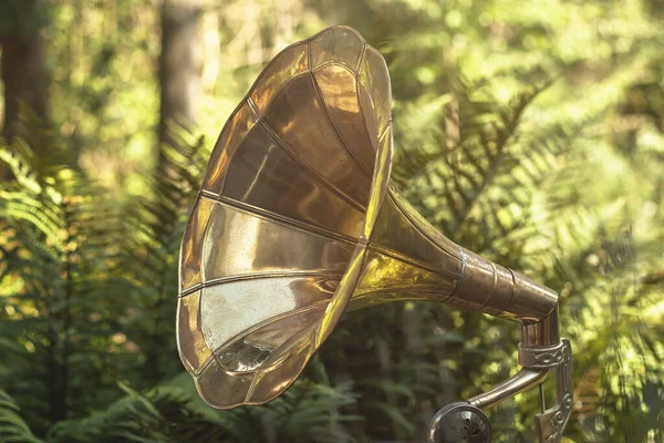 Old Vintage Gramophone Green Garden — Stock Photo, Image