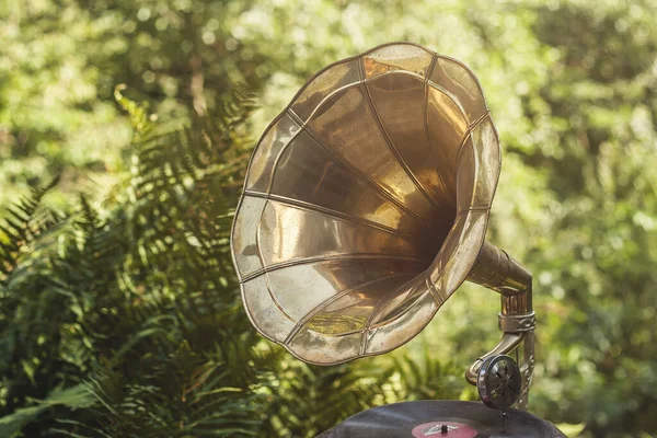 Old Vintage Gramophone Green Garden — Stock Photo, Image