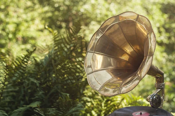 Old Vintage Gramophone Green Garden — Stock Photo, Image