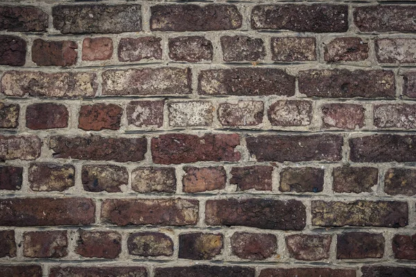 Старая Кирпичная Стена Крупным Планом — стоковое фото