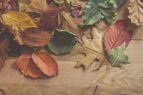 Meerkleurige Herfstbladeren Een Houten Tafel — Stockfoto