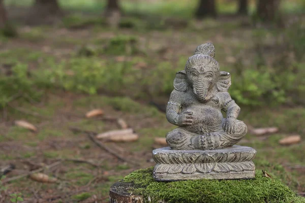 Ganesha Jumaluus Kivi Patsas Sammalta Metsän — kuvapankkivalokuva