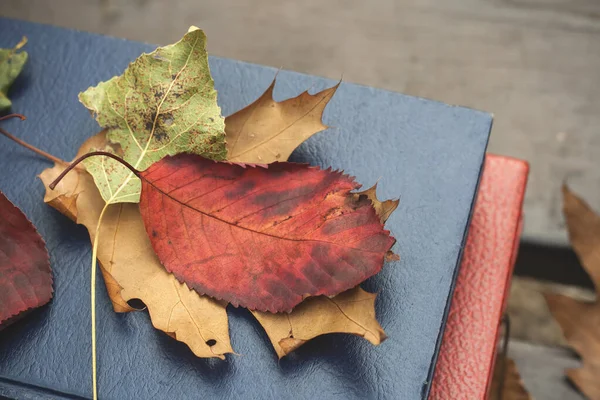 Gevallen Kleurrijke Herfstbladeren Een Stapel Oude Boeken — Stockfoto