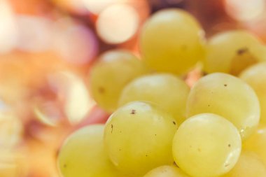 Taze yeşil üzümlerin detayları 