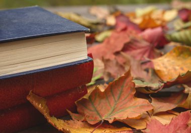 Eski kitaplar ve düşen sonbahar yaprakları.