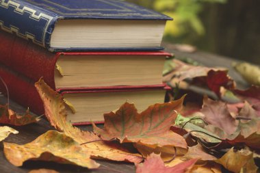Eski kitaplar ve düşen sonbahar yaprakları.