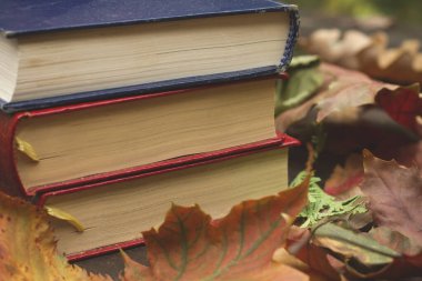 Eski kitaplar ve düşen sonbahar yaprakları.