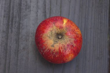 Ekolojik elma yakın çekim görüntüsü