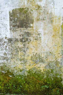 Terk edilmiş binadaki eski duvar 