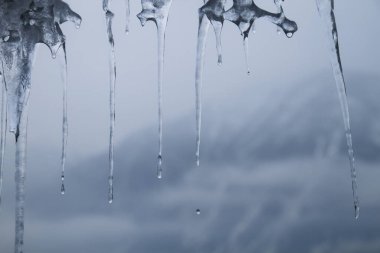 Soğuk bir kış gününde buz saçakları damlıyor