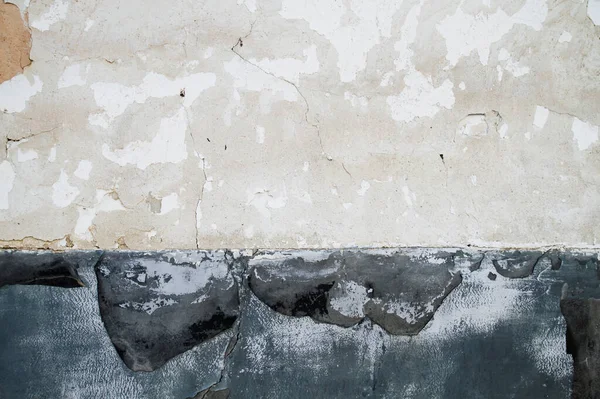 Kırık beyaz duvar whit koyu kamışı