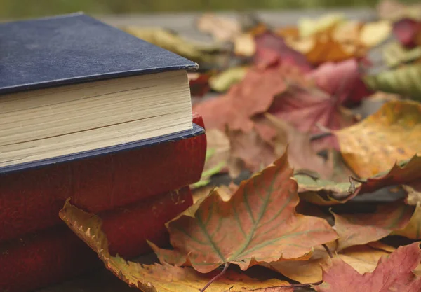 Eski kitaplar ve düşen sonbahar yaprakları.