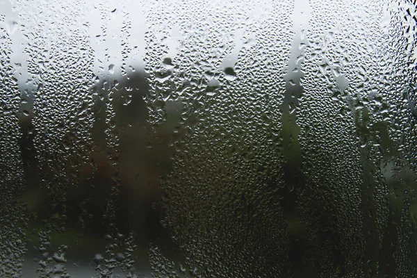 雨の後の湿った窓 — ストック写真