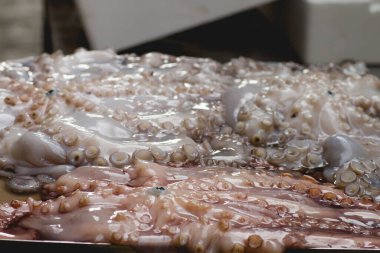 Ahtapot sokak pazarında 
