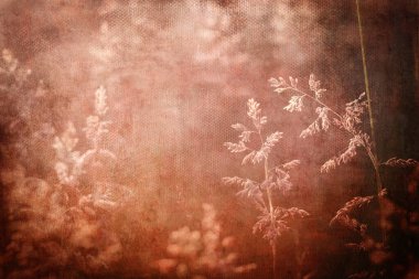 Dokuları ve ılık renkleri olan çiçek arkaplanı