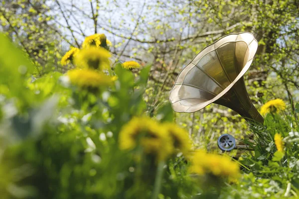 music among the flowers