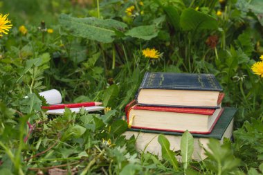 Çimlerin üzerinde eski kitaplar 