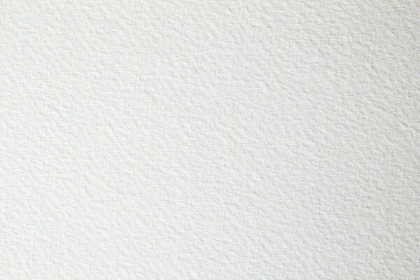 white blank watercolor paper sheet background or texture 