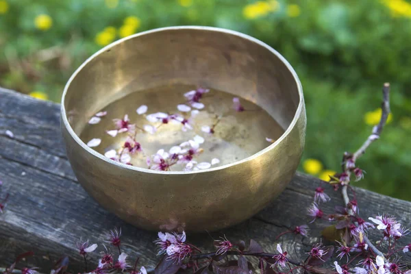 Bol Tibétain Avec Des Fleurs Flottant — Photo