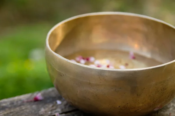 Bol Tibétain Avec Des Fleurs Flottantes — Photo