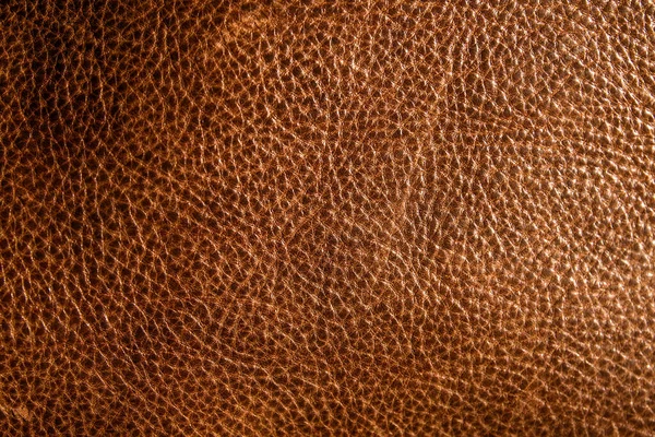 Fond Texture Cuir Marron — Photo