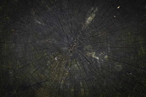 Detail Dark Wooden Surface — Stock Photo, Image