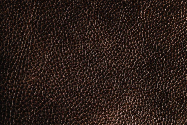 Texture Fond Cuir Marron Foncé — Photo