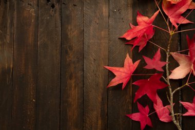 Ahşap zemin ve sonbahar kırmızı yaprakları