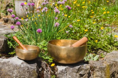 Bahar bahçesinde iki büyük kaseler