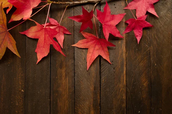 Herfst Rode Bladeren Donkere Houten Achtergrond — Stockfoto