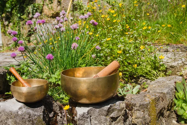 Deux Bols Tibétains Dans Jardin Avec Des Fleurs — Photo