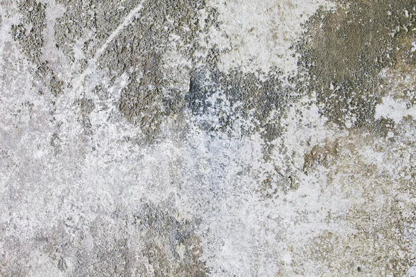 Vieux Mur Grungy Moisi Avec Écaillage Peinture — Photo