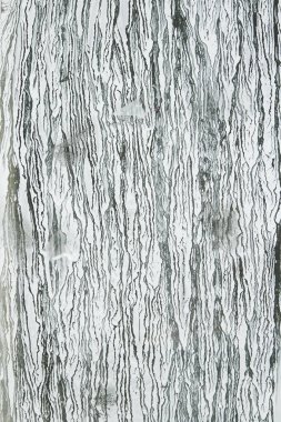 Eski pencereye damlayan kuru beyaz boya 