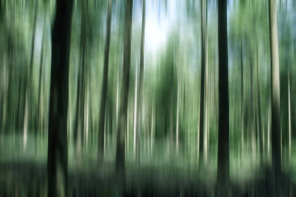 Forêt Abstraite Verte Vue Rapprochée — Photo