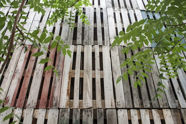recycled wooden wall and trees