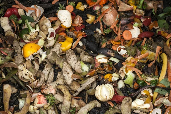 Food Waste Composting Close View — Stok Foto