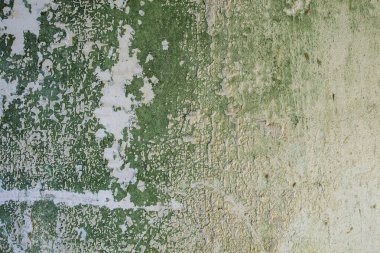 Eski yeşil küflü duvar detayı
