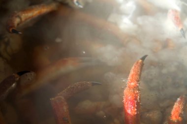 Suda kaynayan dikenli örümcek yengecinin ayrıntıları