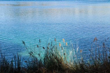 Lagunas de Ruidera, İspanya 'da mavi tukuaz suyu