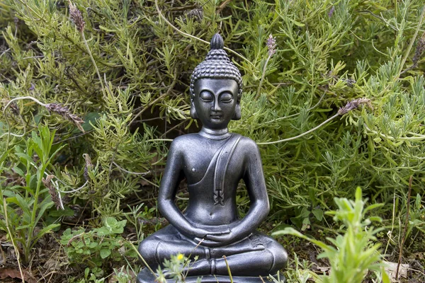 Buddha Statue Garden — Stock Photo, Image