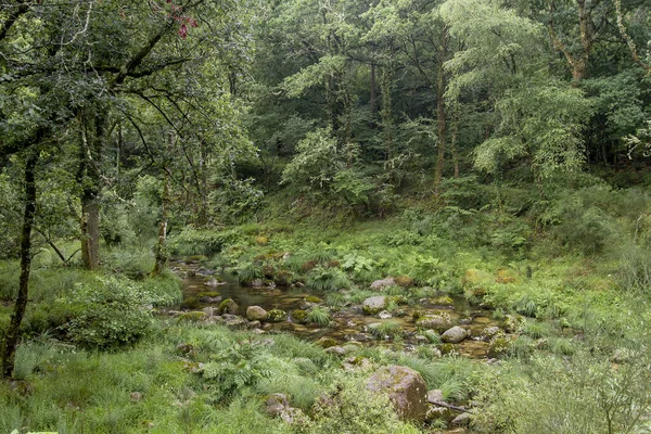 Grüne Landschaft Sierra Del Suido Galicien Spanien — Stockfoto