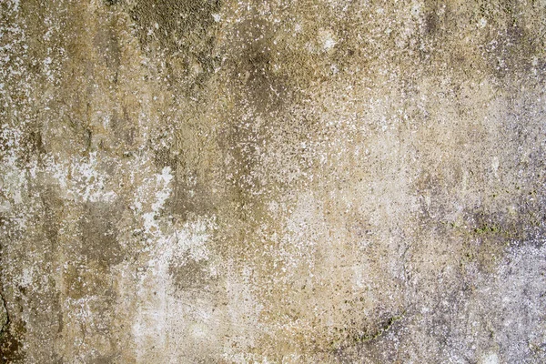 Oude Beschimmelde Muur Achtergrond Textuur — Stockfoto