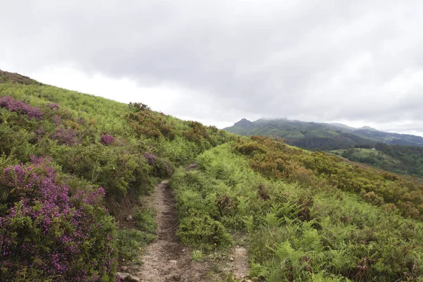 Paisagem Primavera Parque Nacional Peneda Geres Portugal — Fotografia de Stock